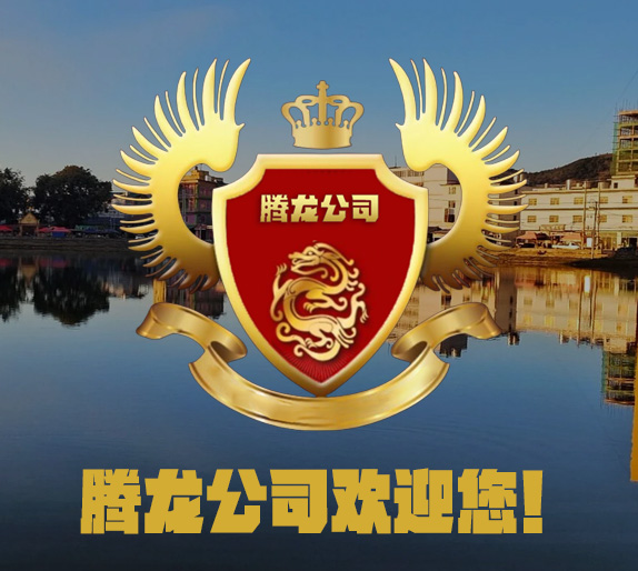 腾龙公司公司外观